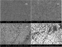 Fig. 3: SEM micrographs Co-Ni coatings deposited at (a) 2.0 A dm-2 (b) 4.0 A dm-2 (c) 6.0A dm-2 (d) 8.0 A dm-2, from optimal bath