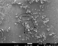 Fig. 6: SEM images of the damage surface morphology of Alloy-2 in NaCl solution