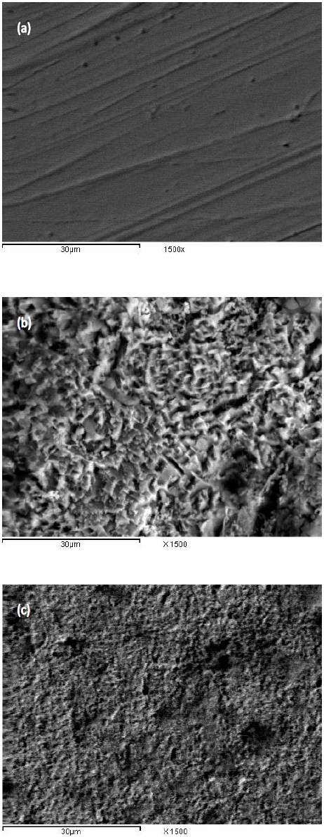 Fig. 10: SEM micrographs of carbon steel surface (a) before of immersion in 1 M HCl, (b) after 3 h of immersion in 1 M HCl and (c) after 3 h of immersion in 1 M HCl + 300 ppm of malonic acid at 25°C