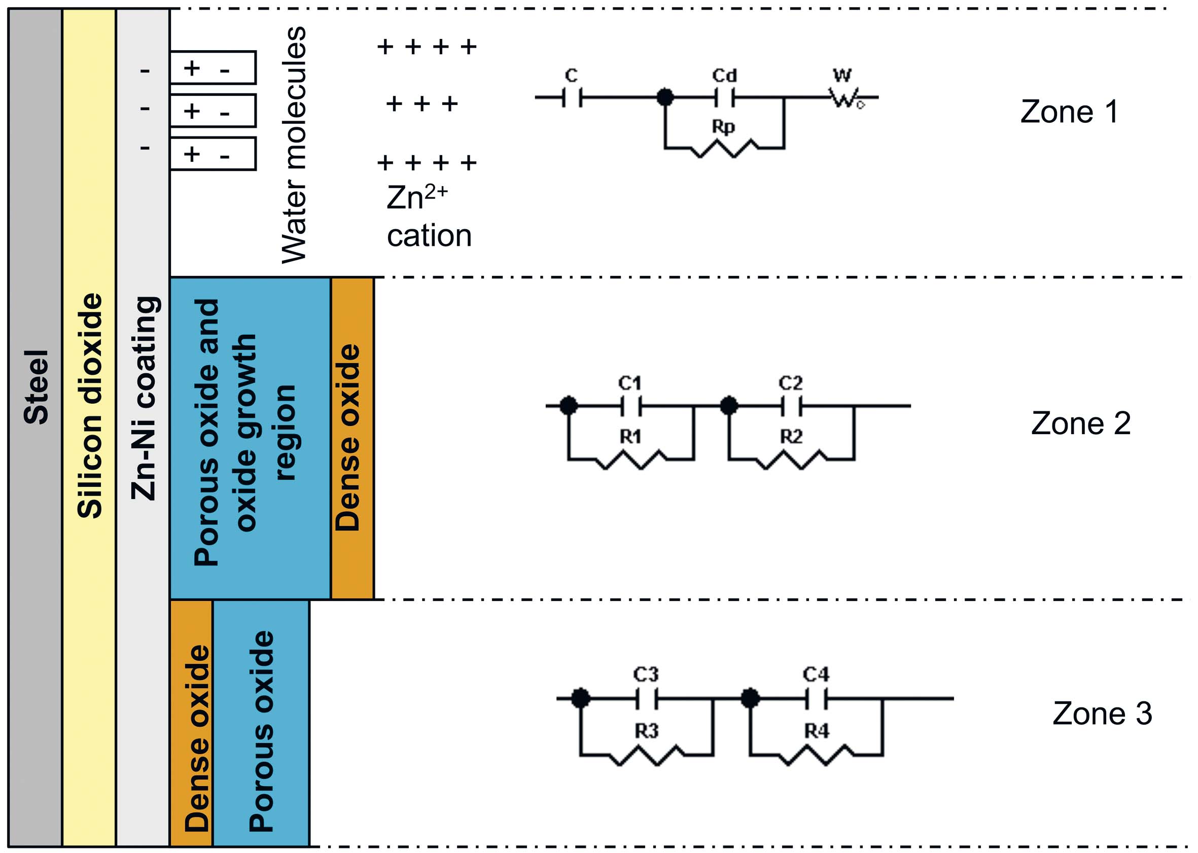 Fig. 17: Schematic representation of the three zones and equivalent circuit sides of T_SiO2+Zn-Ni+bp+f sample