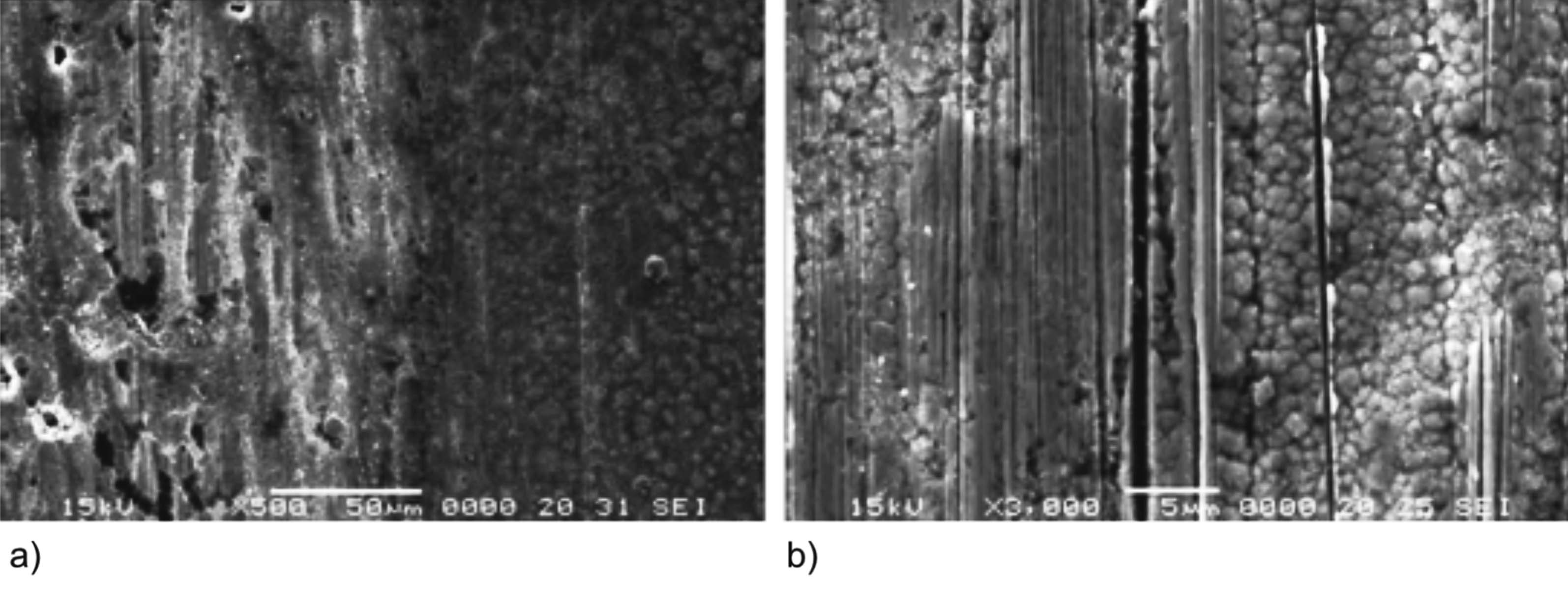 Fig. 6: SEM images of Zn-Ni sample: a) corrosion and tribocorrosion; b) tribocorrosion
