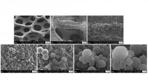 Fig. 4: SEM images of electrodeposited Li on Ni foam at 0.1 mAcm-2 for 10 h